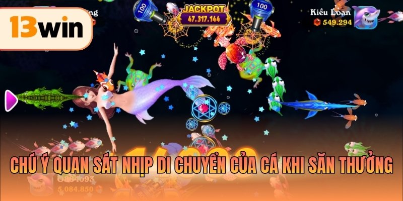 Chú ý quan sát nhịp di chuyển của cá khi săn thưởng