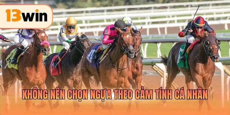 Không nên chọn ngựa theo cảm tính cá nhân