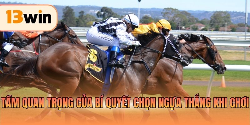 Tầm quan trọng của bí quyết chọn ngựa thắng khi chơi