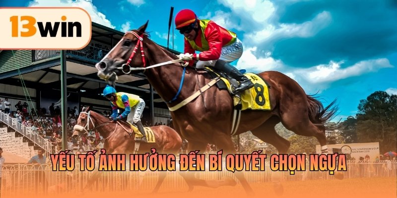 Yếu tố ảnh hưởng đến bí quyết chọn ngựa